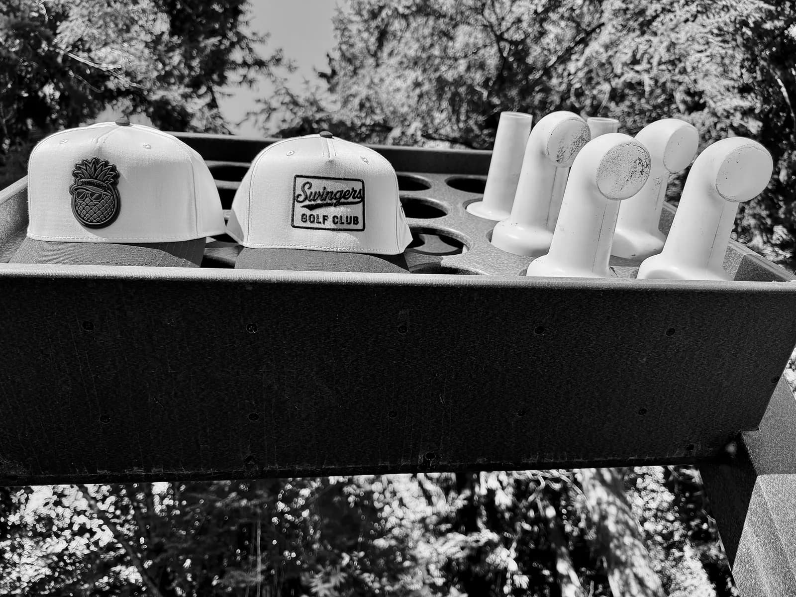 Swingers Club community photo